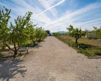 Revente - Villa - Pinoso  - Lel