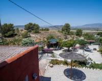 Revente - Villa - Pinoso  - Partida Collao Safra 2R