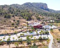 Revente - Villa - Pinoso  - Partida Collao Safra 2R