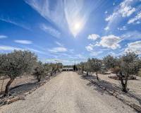 Revente - Villa - Pinoso  - Pinoso