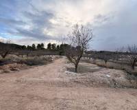 Revente - Villa - Pinoso  - Pinoso