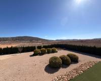 Revente - Villa - Pinoso  - Pinoso