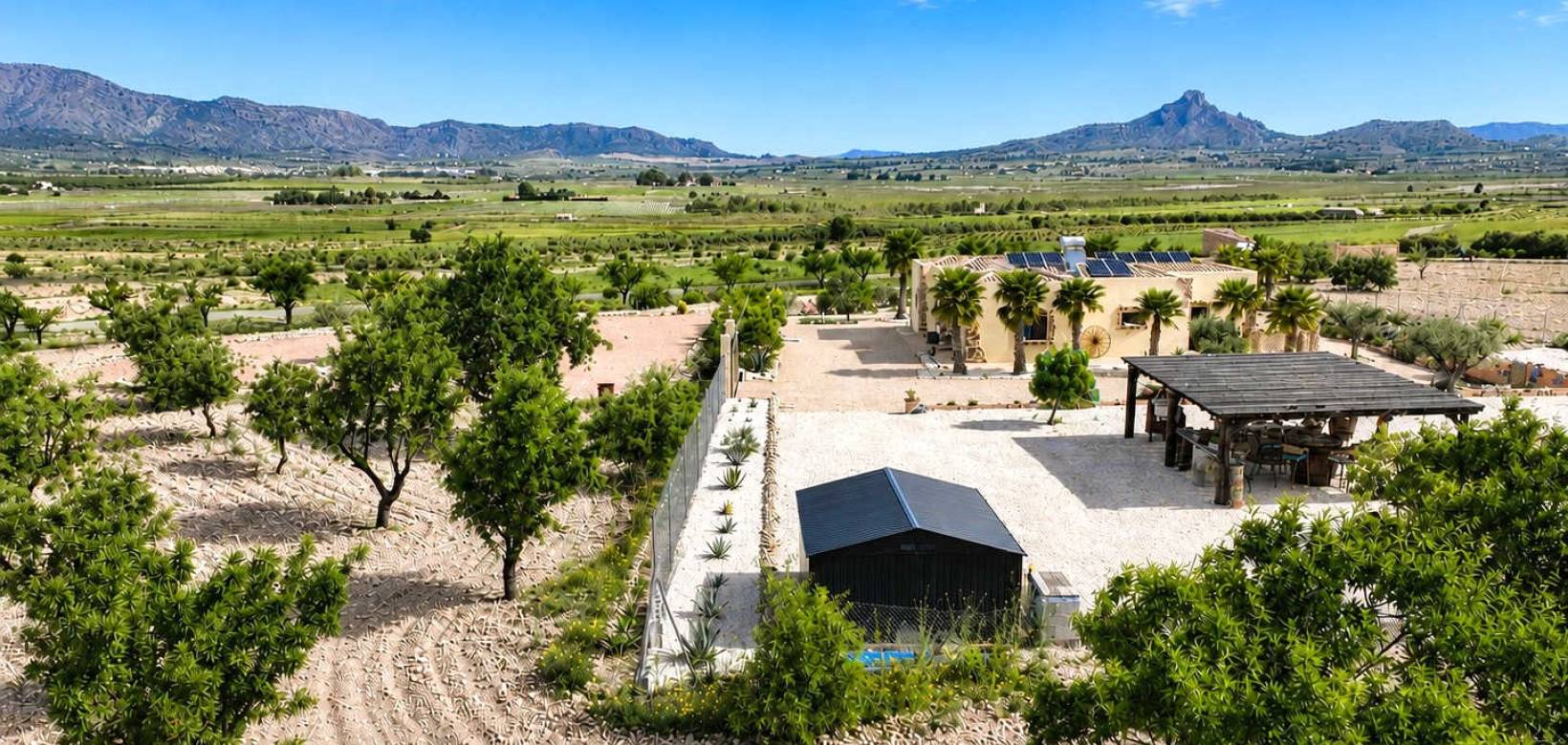 Revente - Villa - Salinas