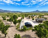 Revente - Villa - Salinas