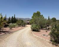 Revente - Villa - Salinas