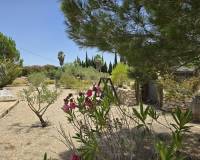 Revente - Villa - Salinas