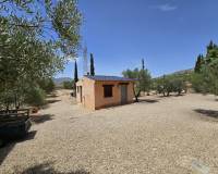 Revente - Villa - Salinas
