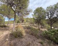 Revente - Villa - Sax