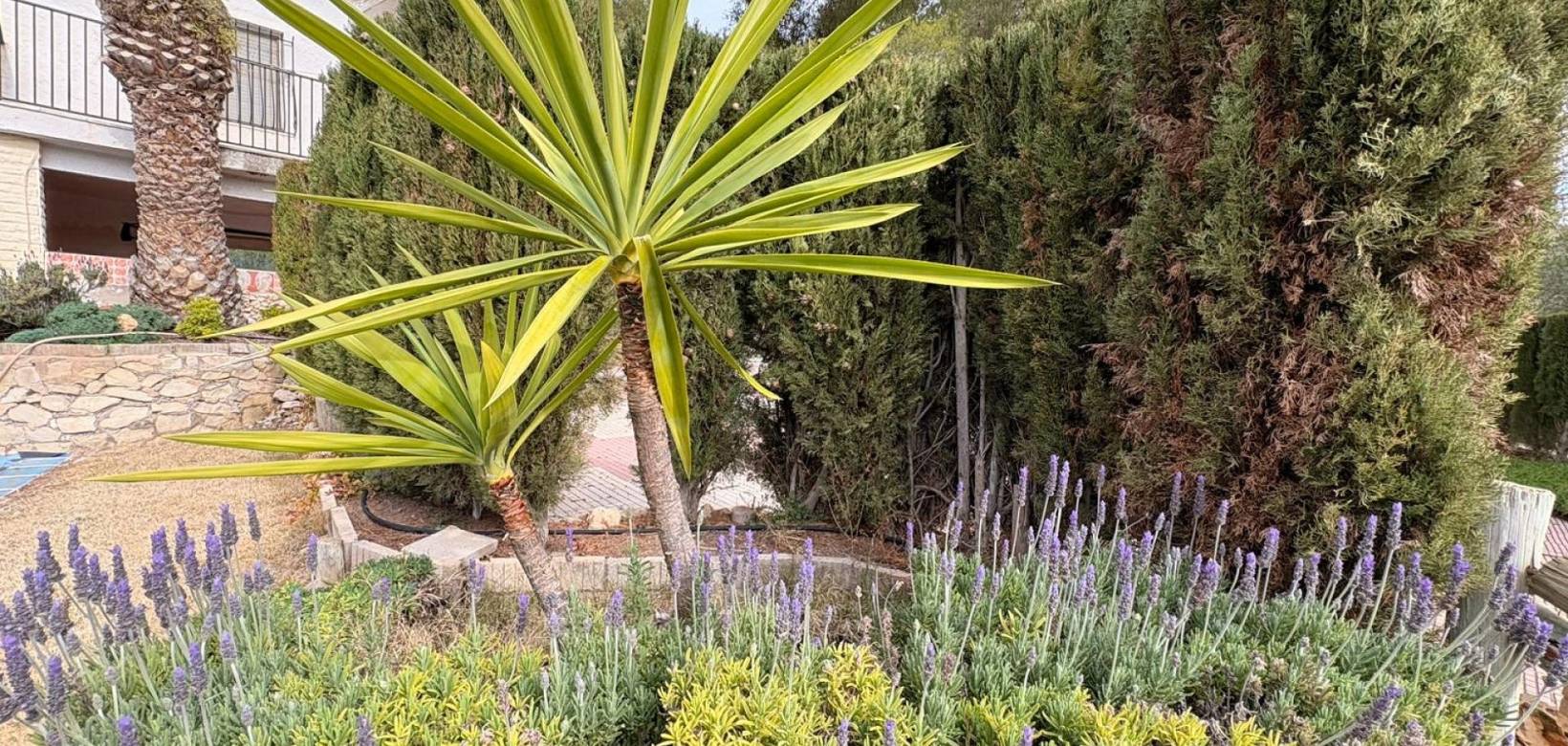 Revente - Villa - Sax