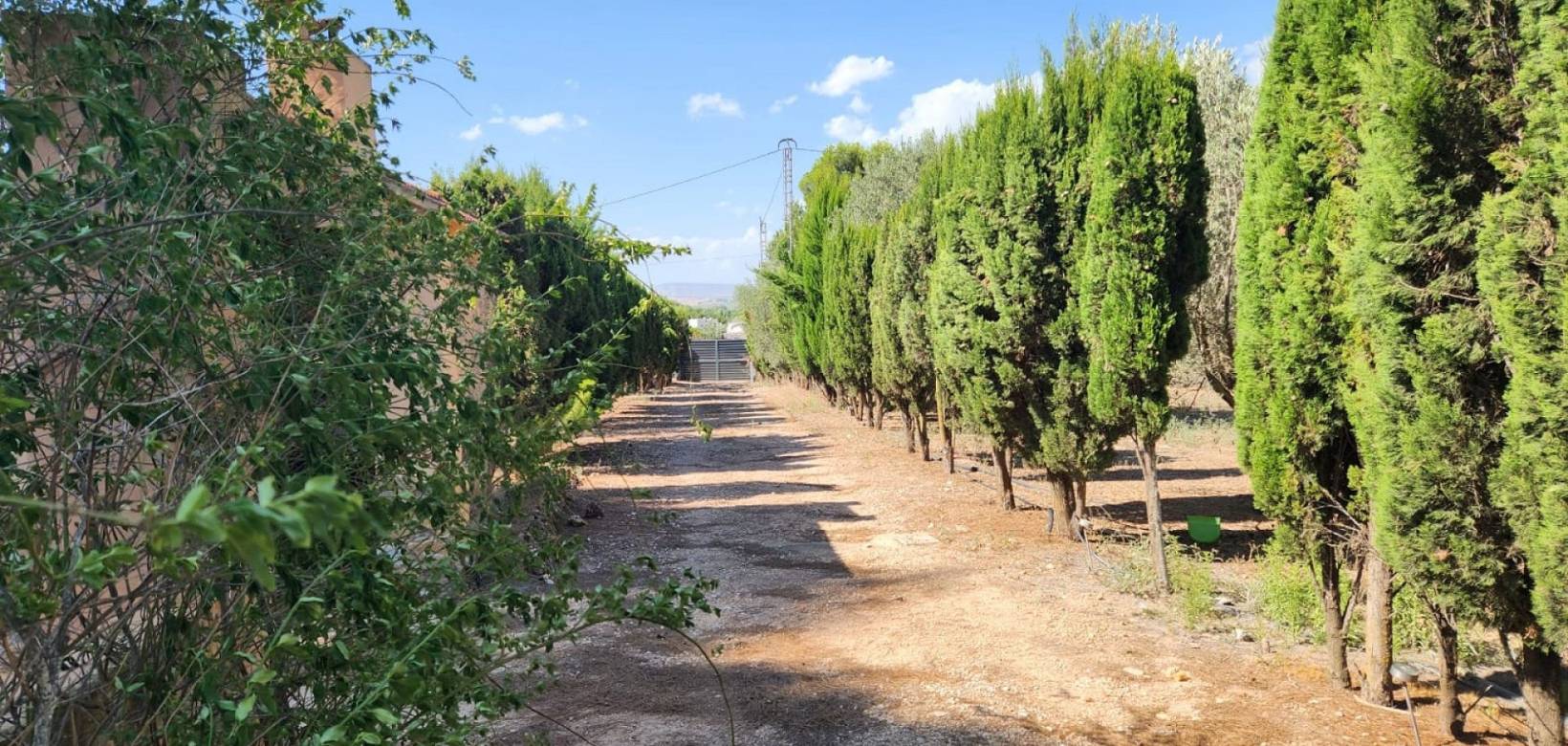 Revente - Villa - Villena