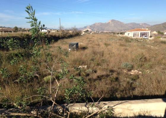Terrain rustique non constructible - Revente - Hondón de los Frailes - HF-PLOT1