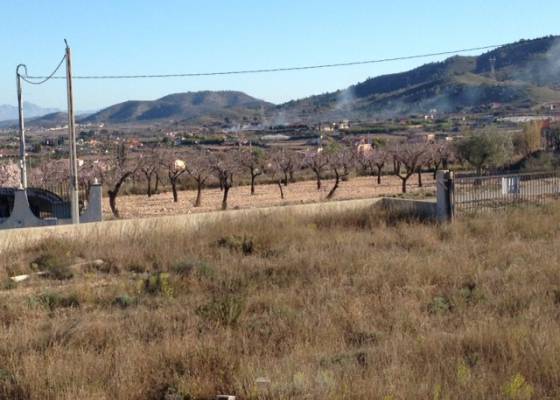 Terreno rústico no edificable - Venta - Hondón de los Frailes - Hondón de los Frailes