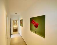 Venta - Apartamento - Guardamar del Segura - Guardamar De La Segura