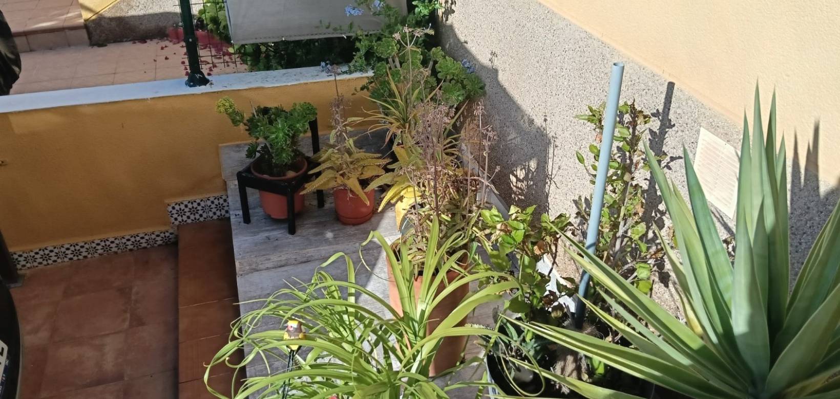 Venta - Apartamento - Los Montesinos - La Herrada