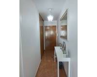 Venta - Apartamento - Orihuela