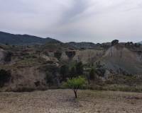 Venta - Casa cueva - Abanilla