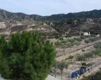 Venta - Casa cueva - Abanilla