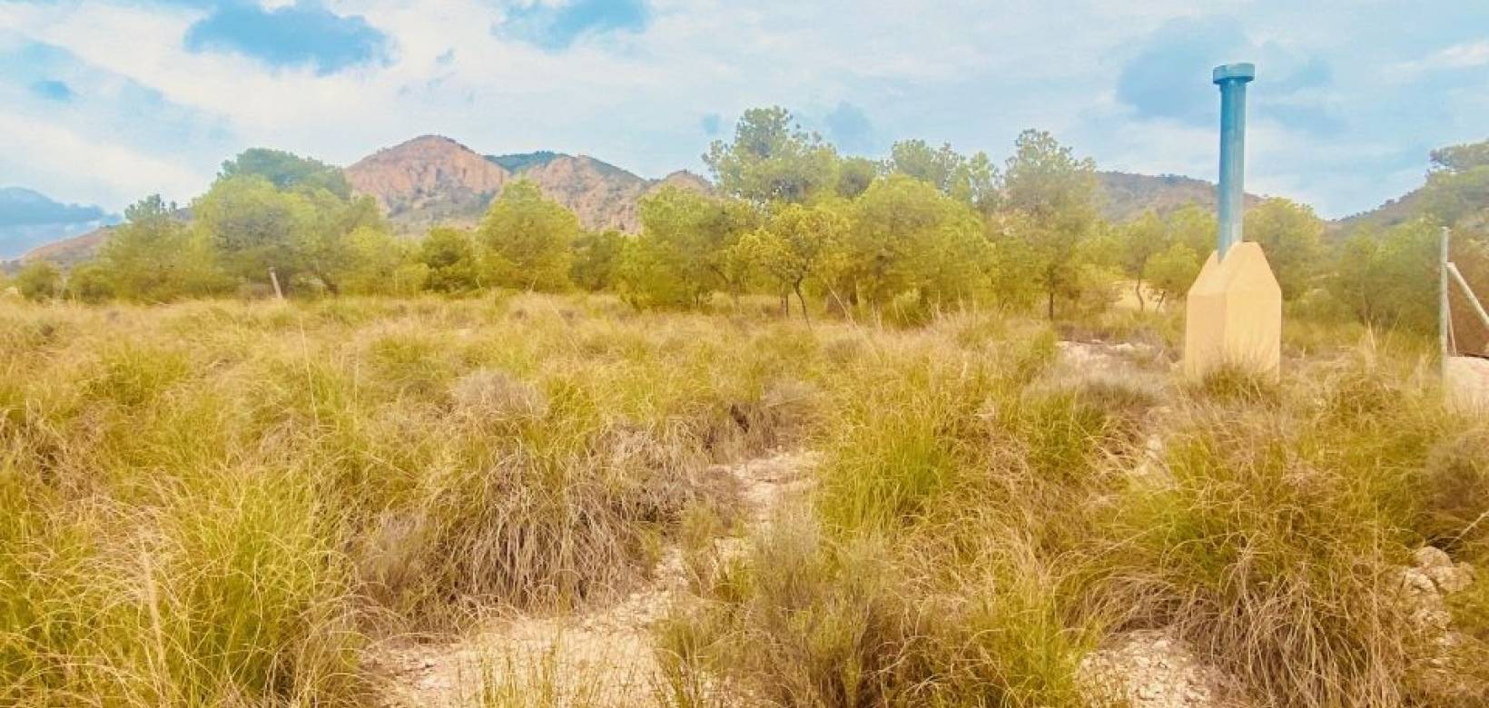 Venta - Casa cueva - Barinas