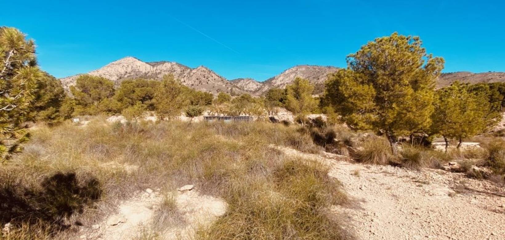 Venta - Casa cueva - Barinas