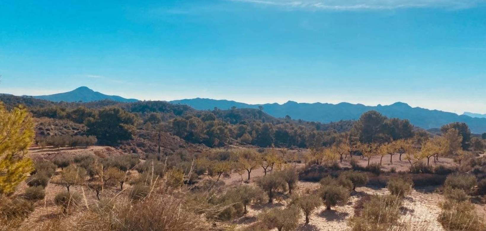 Venta - Casa cueva - Barinas