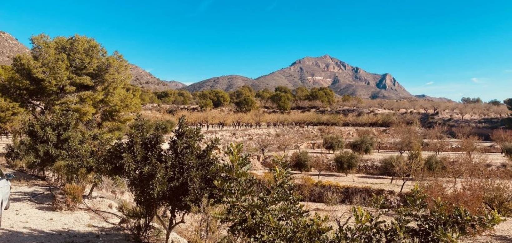 Venta - Casa cueva - Barinas