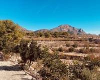 Venta - Casa cueva - Barinas