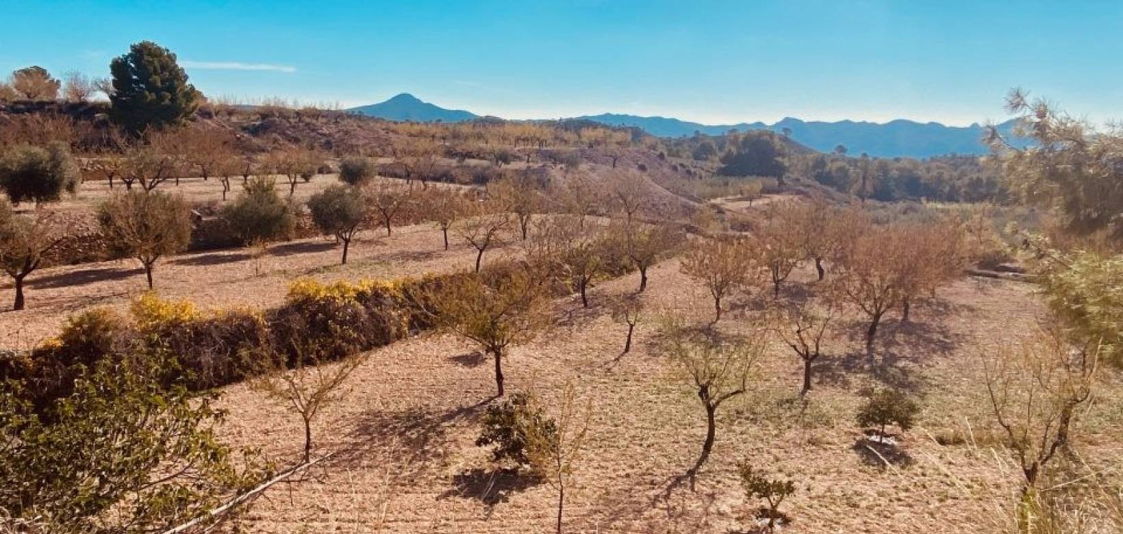 Venta - Casa cueva - Barinas