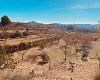 Venta - Casa cueva - Barinas