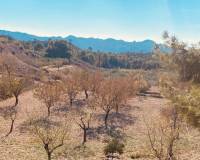 Venta - Casa cueva - Barinas