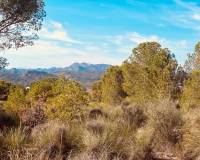 Venta - Casa cueva - Barinas