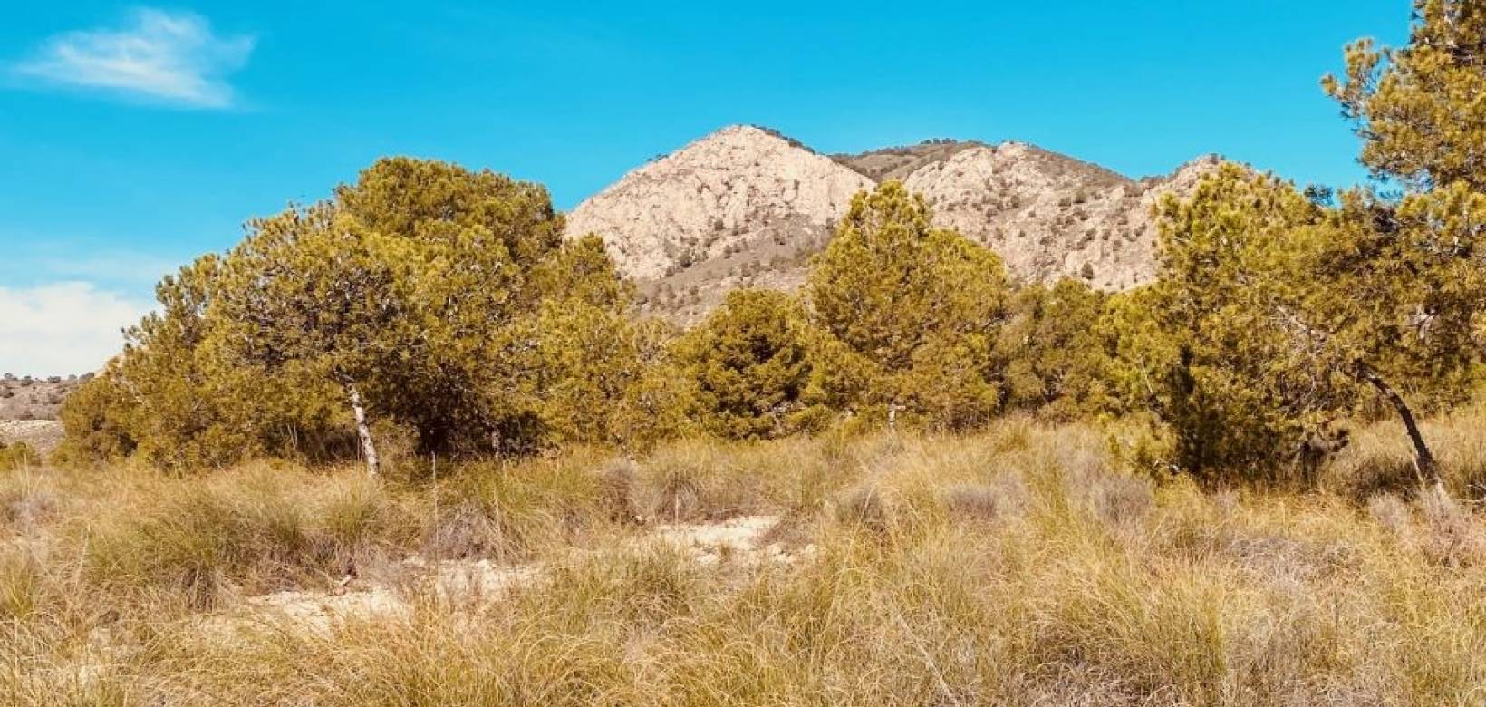 Venta - Casa cueva - Barinas