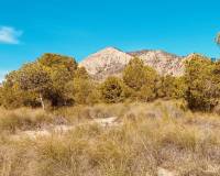 Venta - Casa cueva - Barinas