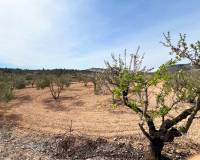 Venta - Casa cueva - La Canalosa