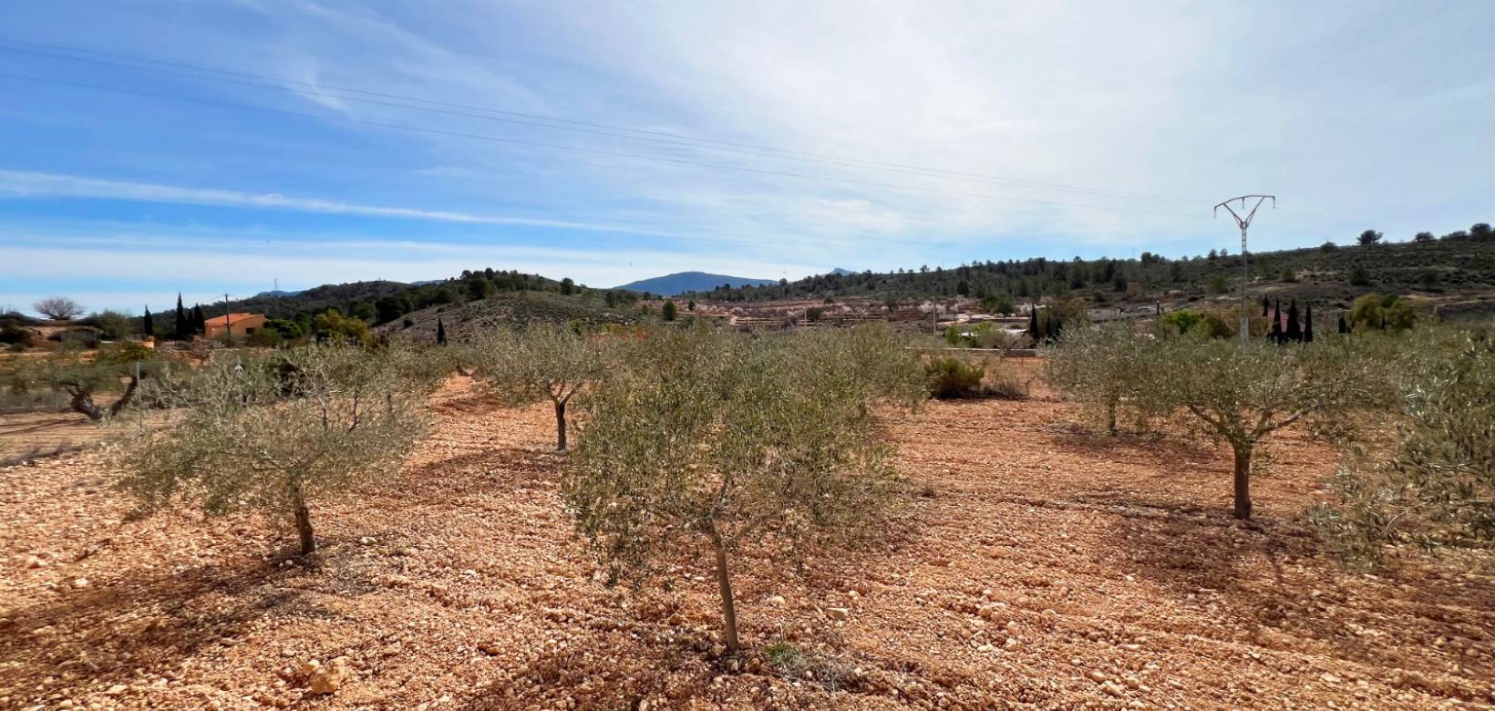 Venta - Casa cueva - La Canalosa