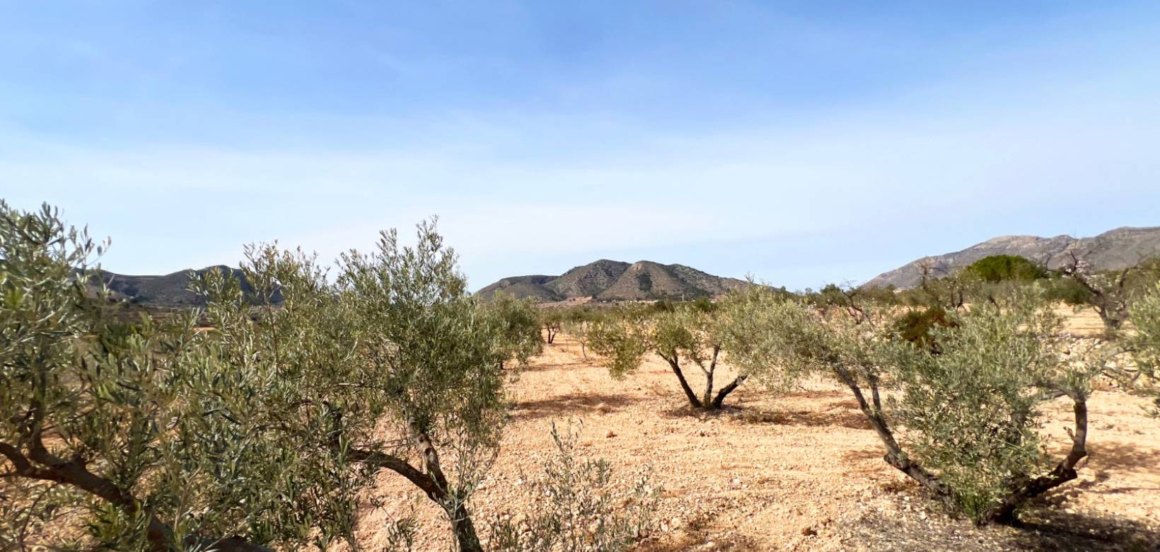 Venta - Casa cueva - La Canalosa