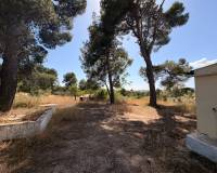 Venta - Casa de campo - Biar