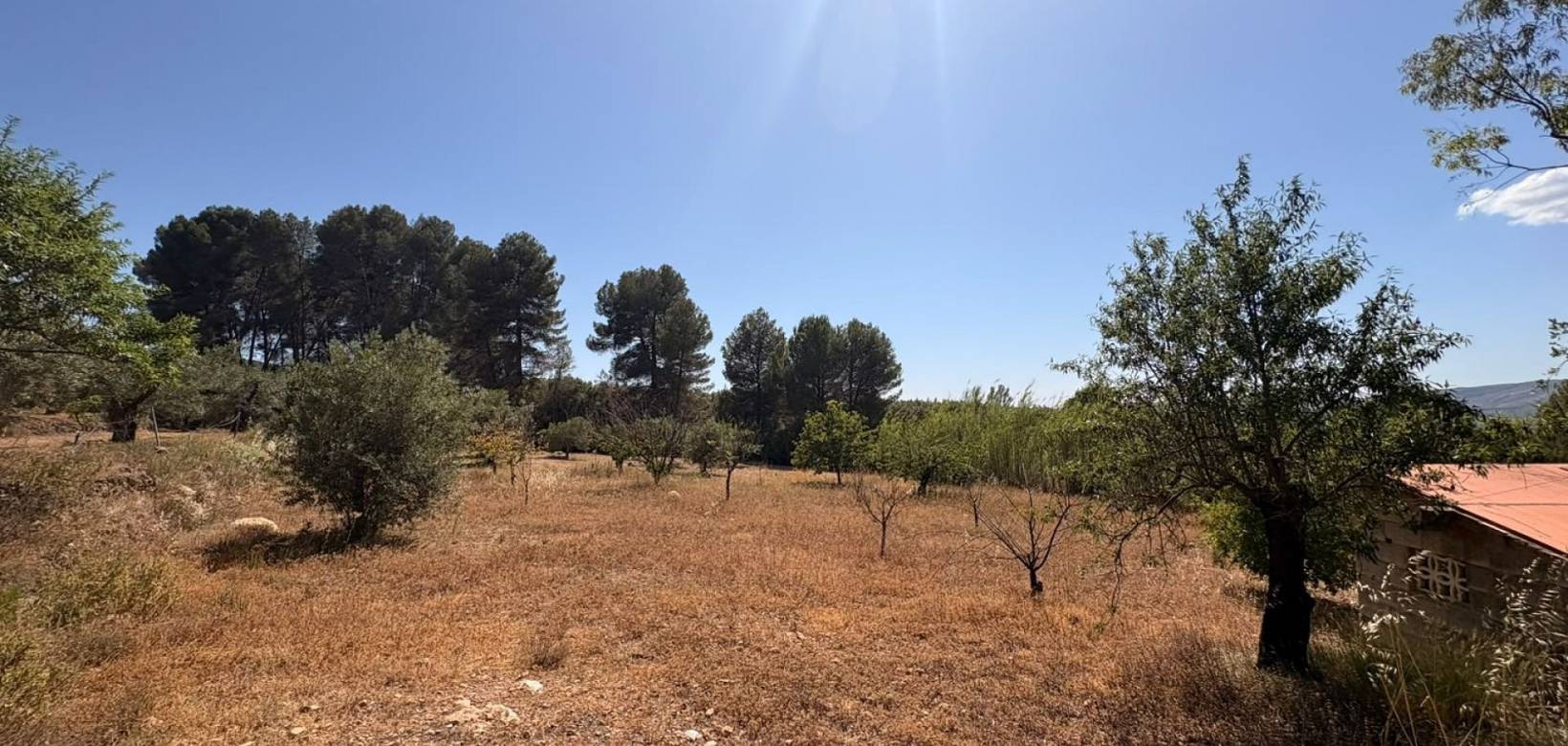 Venta - Casa de campo - Biar