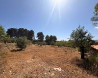 Venta - Casa de campo - Biar