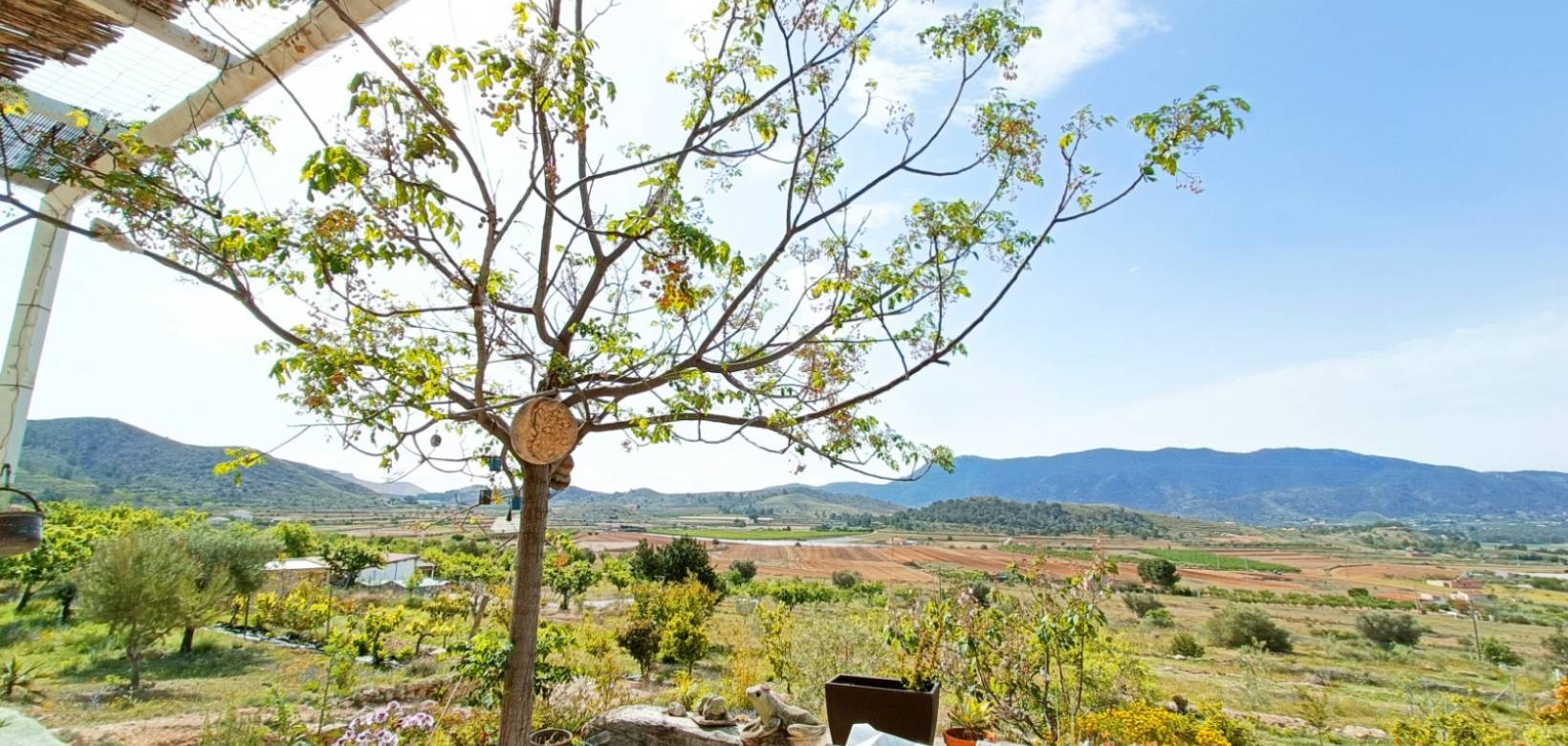 Venta - Casa de campo - Hondón de las Nieves