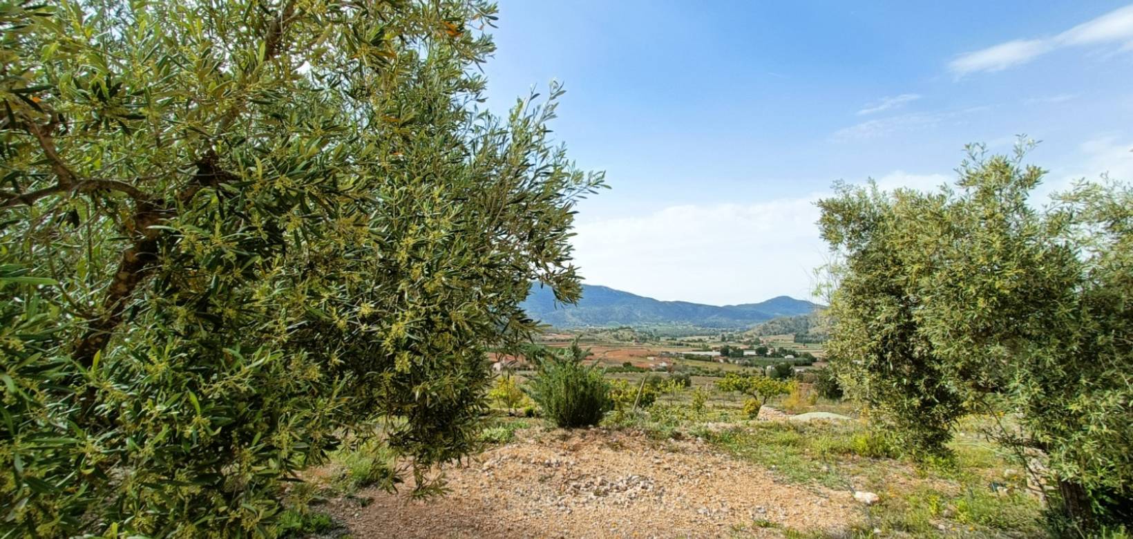 Venta - Casa de campo - Hondón de las Nieves
