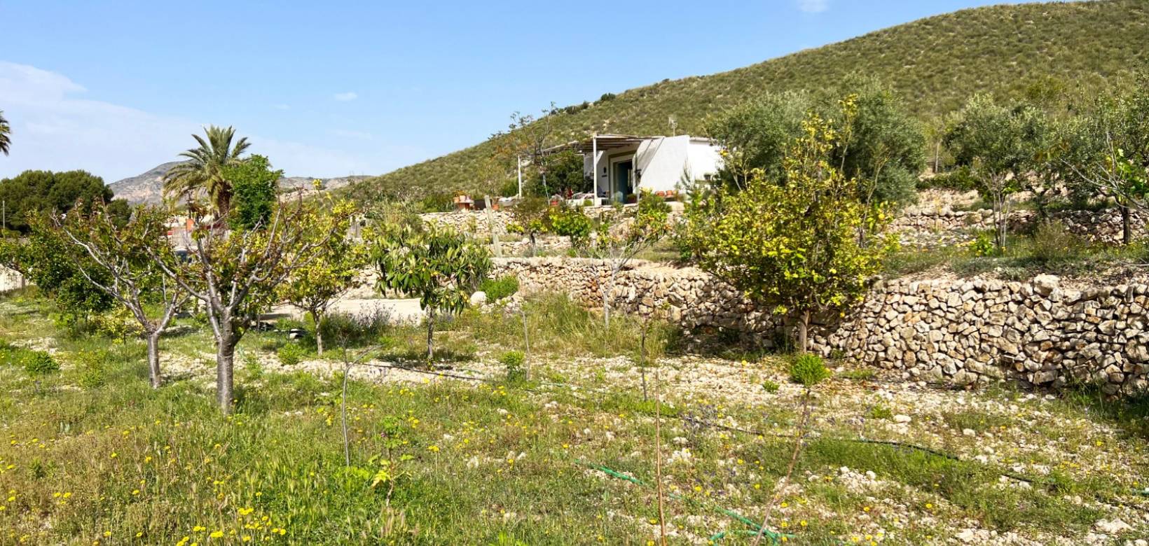 Venta - Casa de campo - Hondón de las Nieves