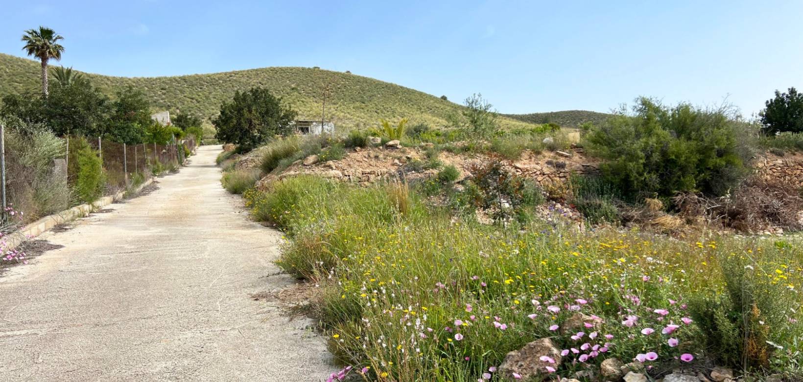 Venta - Casa de campo - Hondón de las Nieves