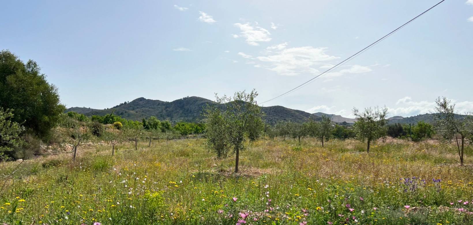 Venta - Casa de campo - Hondón de las Nieves