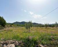 Venta - Casa de campo - Hondón de las Nieves