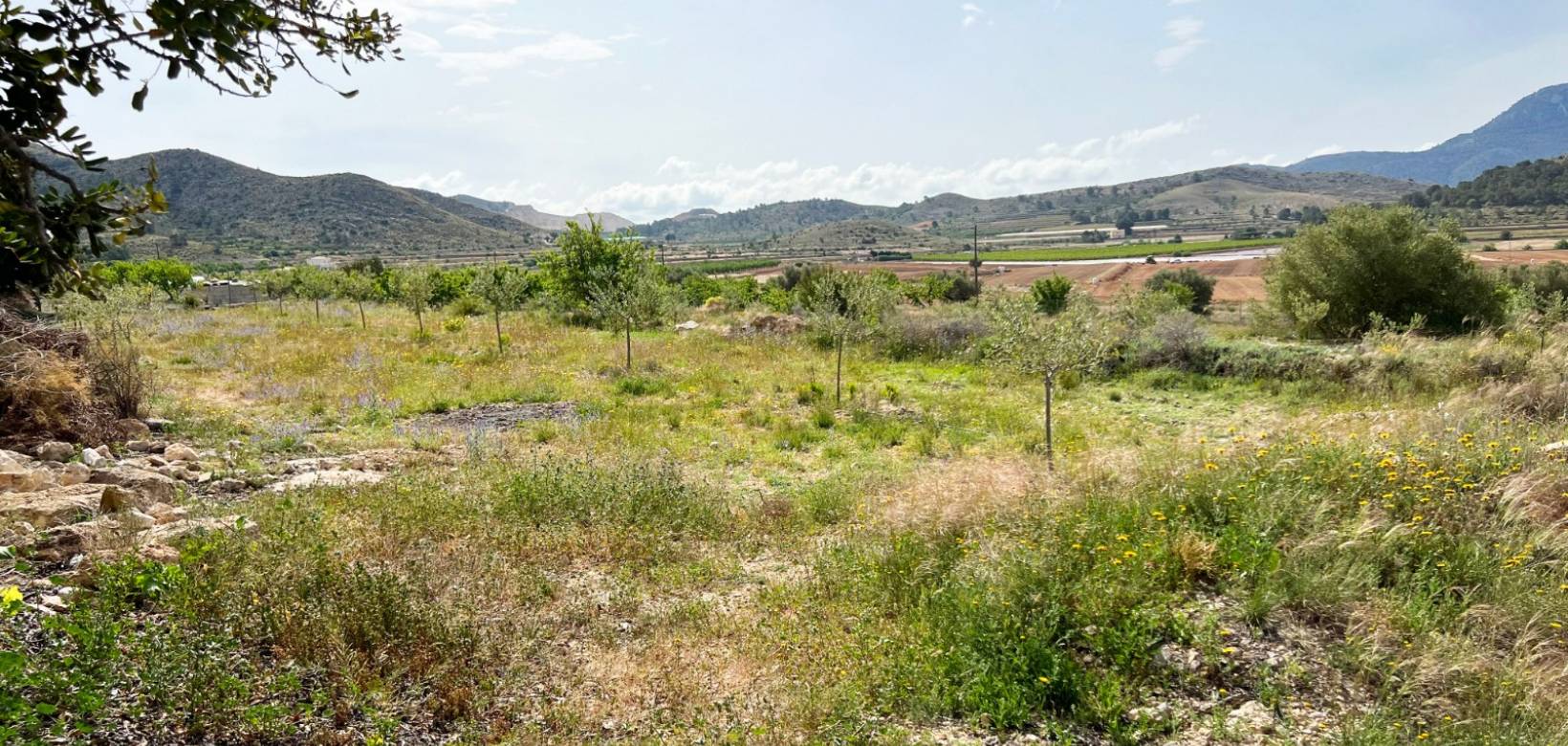 Venta - Casa de campo - Hondón de las Nieves