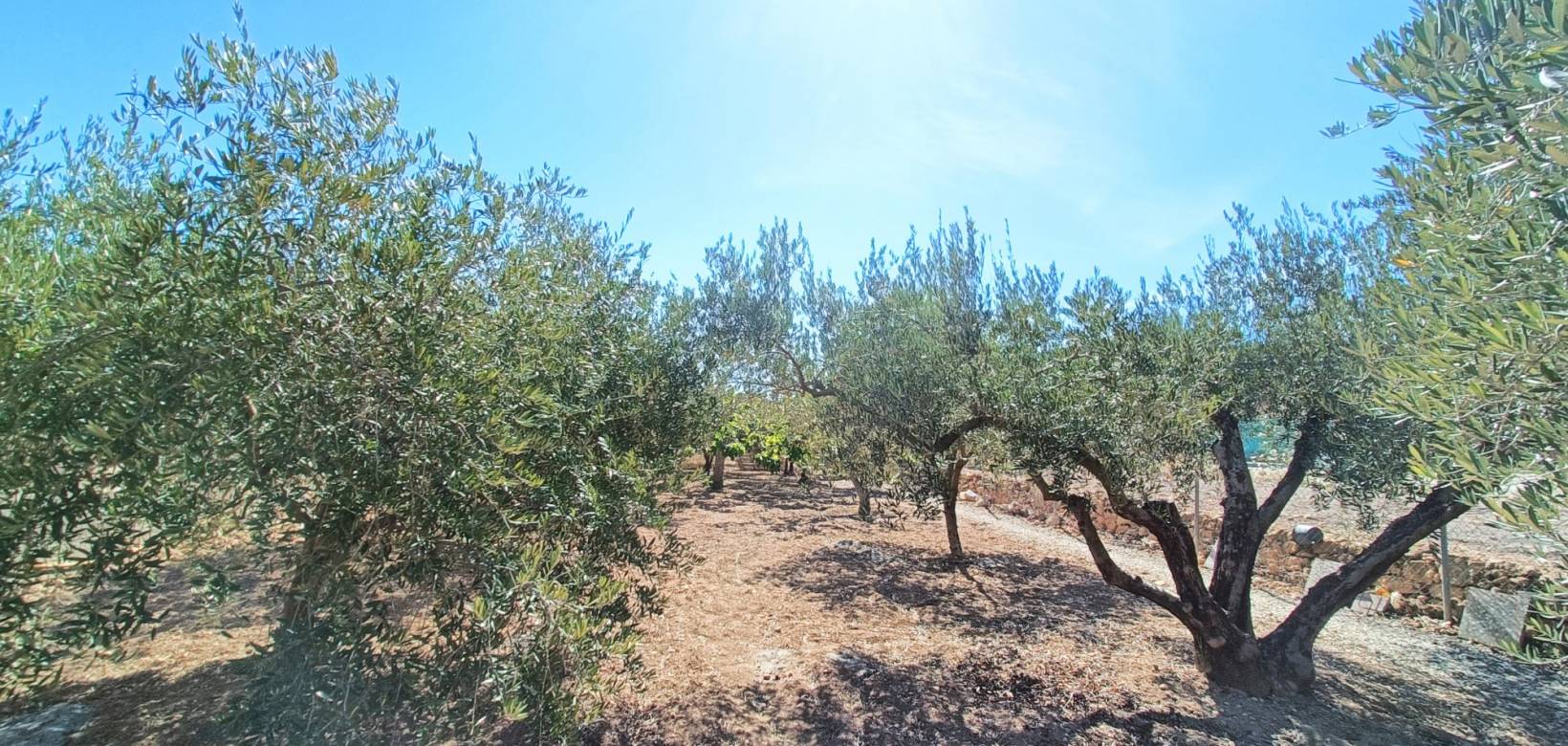 Venta - Casa de campo - Hondón de los Frailes