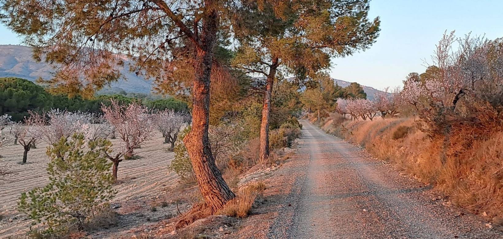 Venta - Casa de campo - Sax