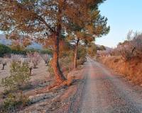 Venta - Casa de campo - Sax