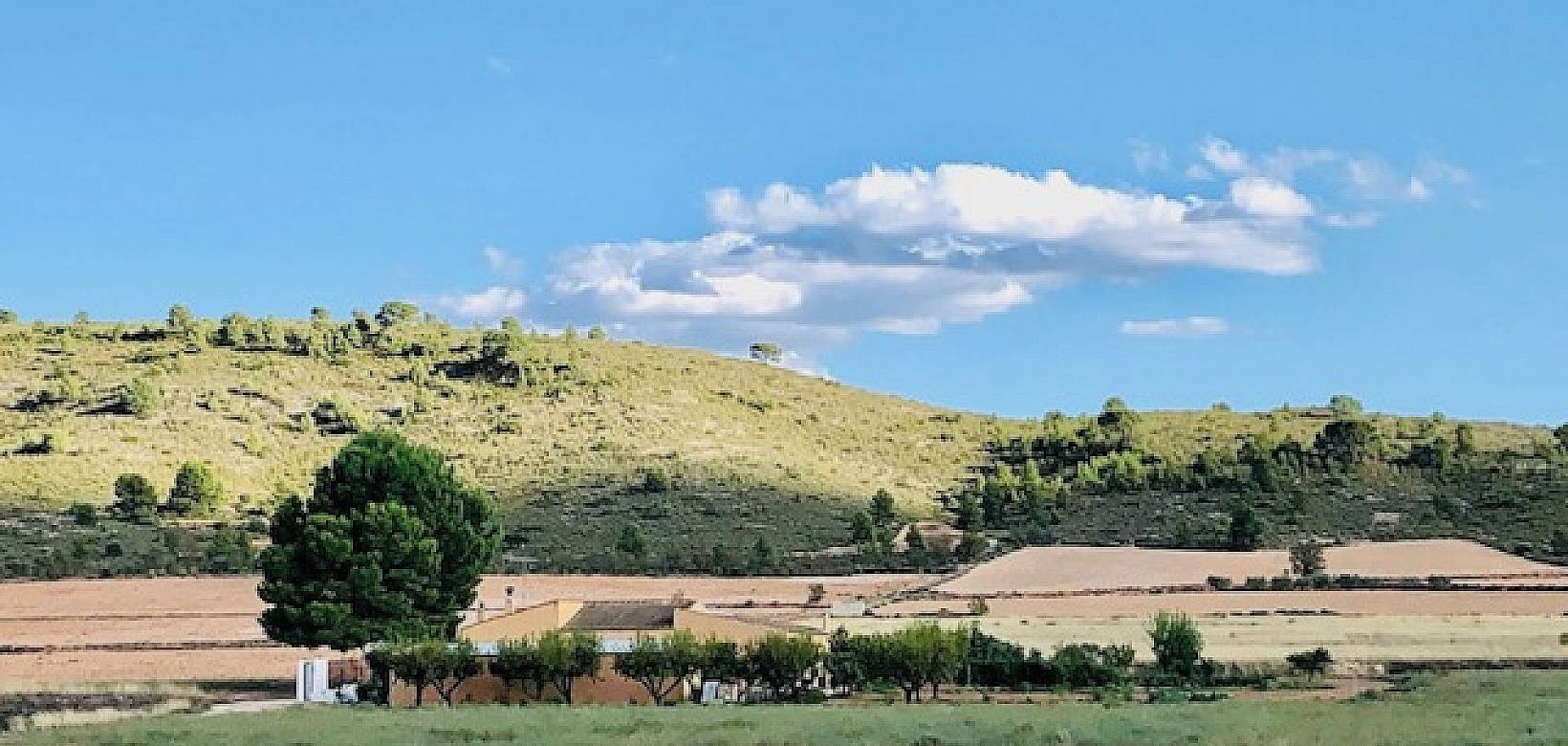 Venta - Casa de campo - Yecla