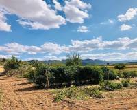 Venta - Casa de campo - Yecla